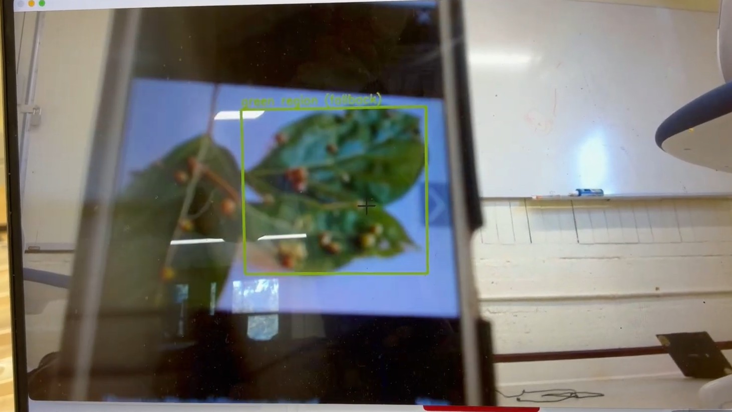 Ceres VLM leaf-detection screen with a bounding box around a diseased leaf